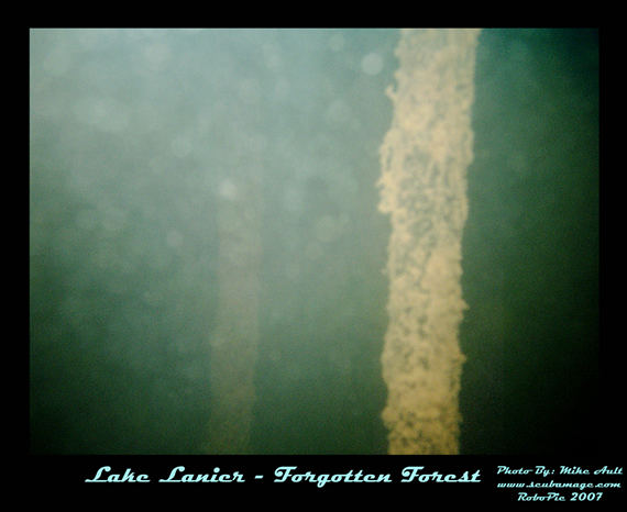 Diver exploring Lake Lanier's 'Forgotten Forest'