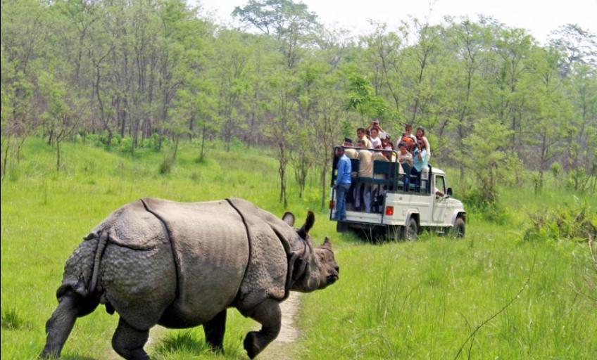 A view of people doing jungle safari riding jeep in Chitwan National Park