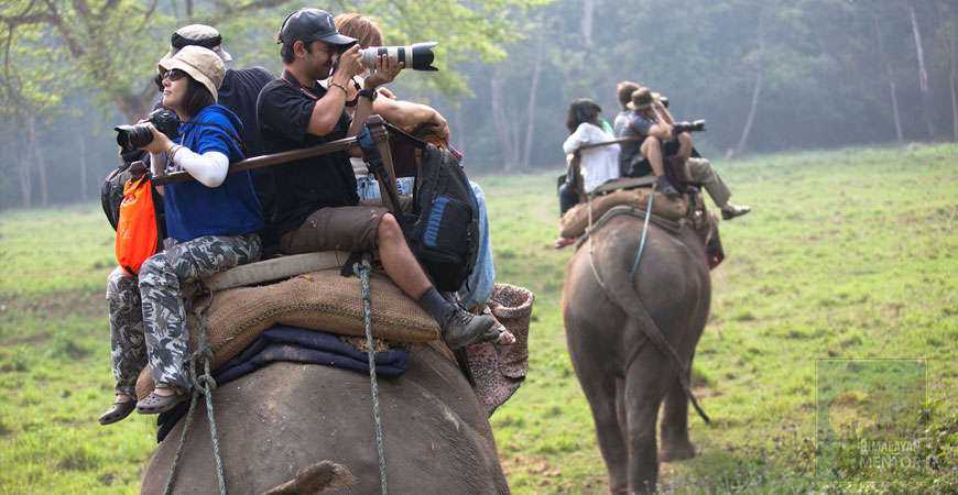 A view of people doing jungle safari on the top of elephant